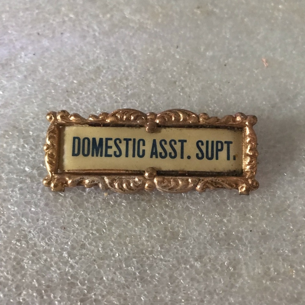 Gold Domestic Assistant Superintendent Pin - Picture 2 of 4